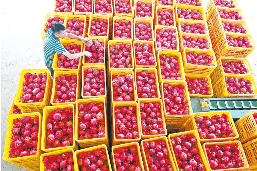 没有什么能阻挡!今天<strong></p>
<p>MM虚拟币</strong>,广西人就是要回家!