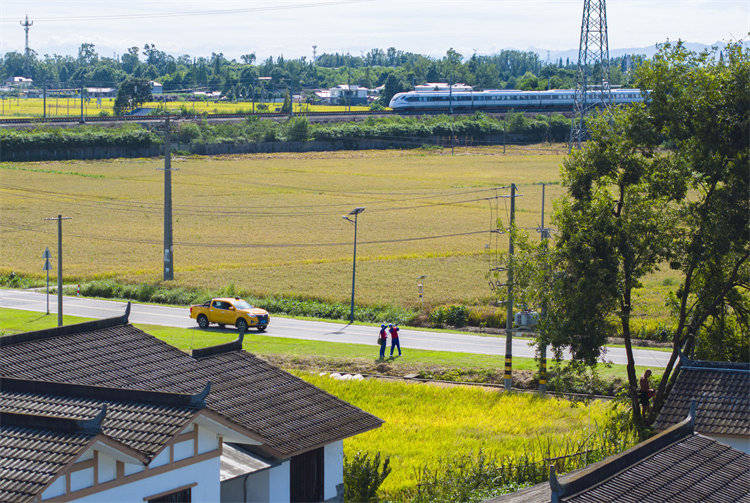 阖家团圆时<strong></p>
<p>虚拟币取缔</strong>，他们守护蓉城灯火