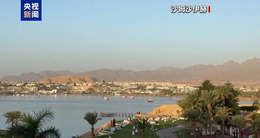 哈马斯、普京最新发声<strong></p>
<p>虚拟币取缔</strong>!