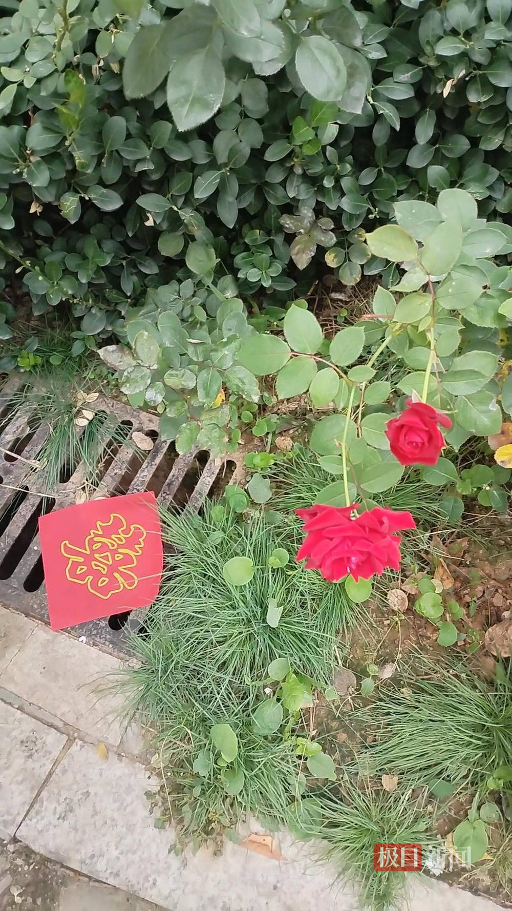 山西婚礼要在下水道井盖贴“喜”字？有的井盖被贴了8张<strong></p>
<p>虚拟币取缔</strong>，当地居民：寓意不踩坑、驱晦迎喜