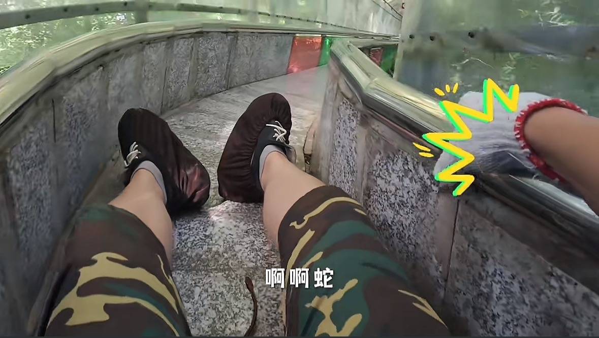 游客称在广西丹炉山滑道遇蛇<strong></p>
<p>有哪些数字货币</strong>，景区致歉：这么多年就这一次，每年都做防蛇处理