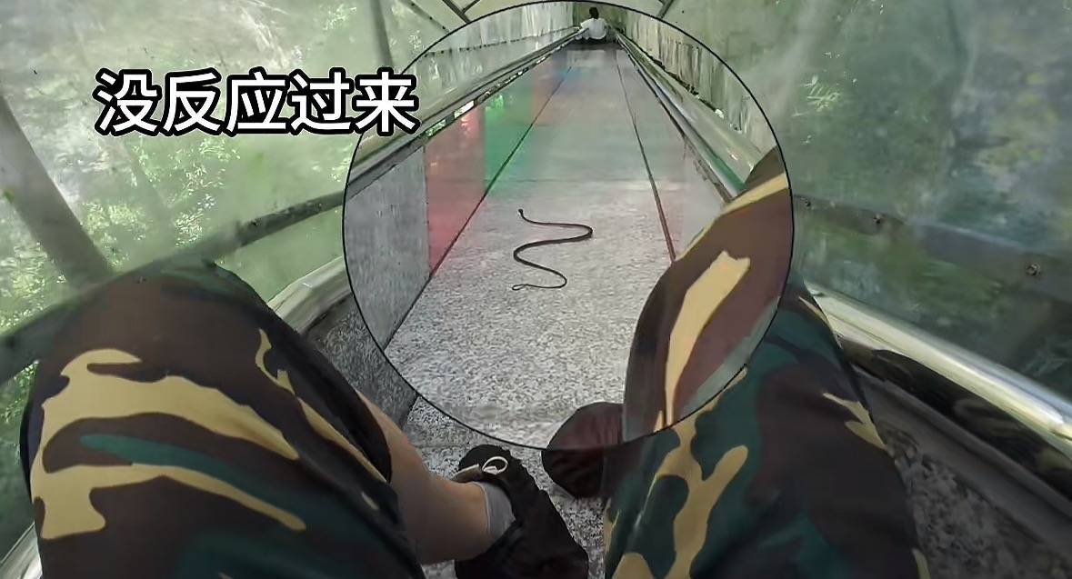 游客称在广西丹炉山滑道遇蛇<strong></p>
<p>有哪些数字货币</strong>，景区致歉：这么多年就这一次，每年都做防蛇处理