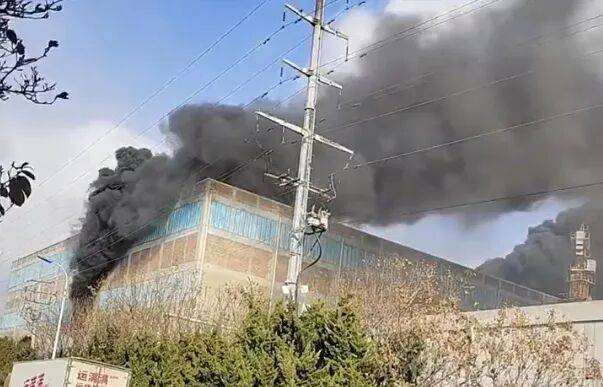 山东通报威海冷库9人遇难火灾事故调查结果:13人被追究刑责