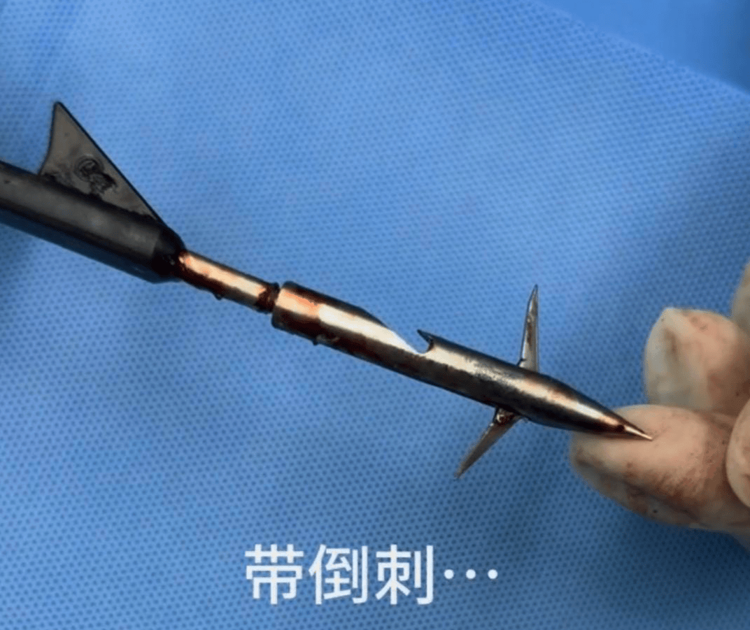 教育局回应“一教师用弓箭射杀小狗”：不实<strong></p>
<p>数字货币有哪些</strong>，小狗进学校前就被射伤