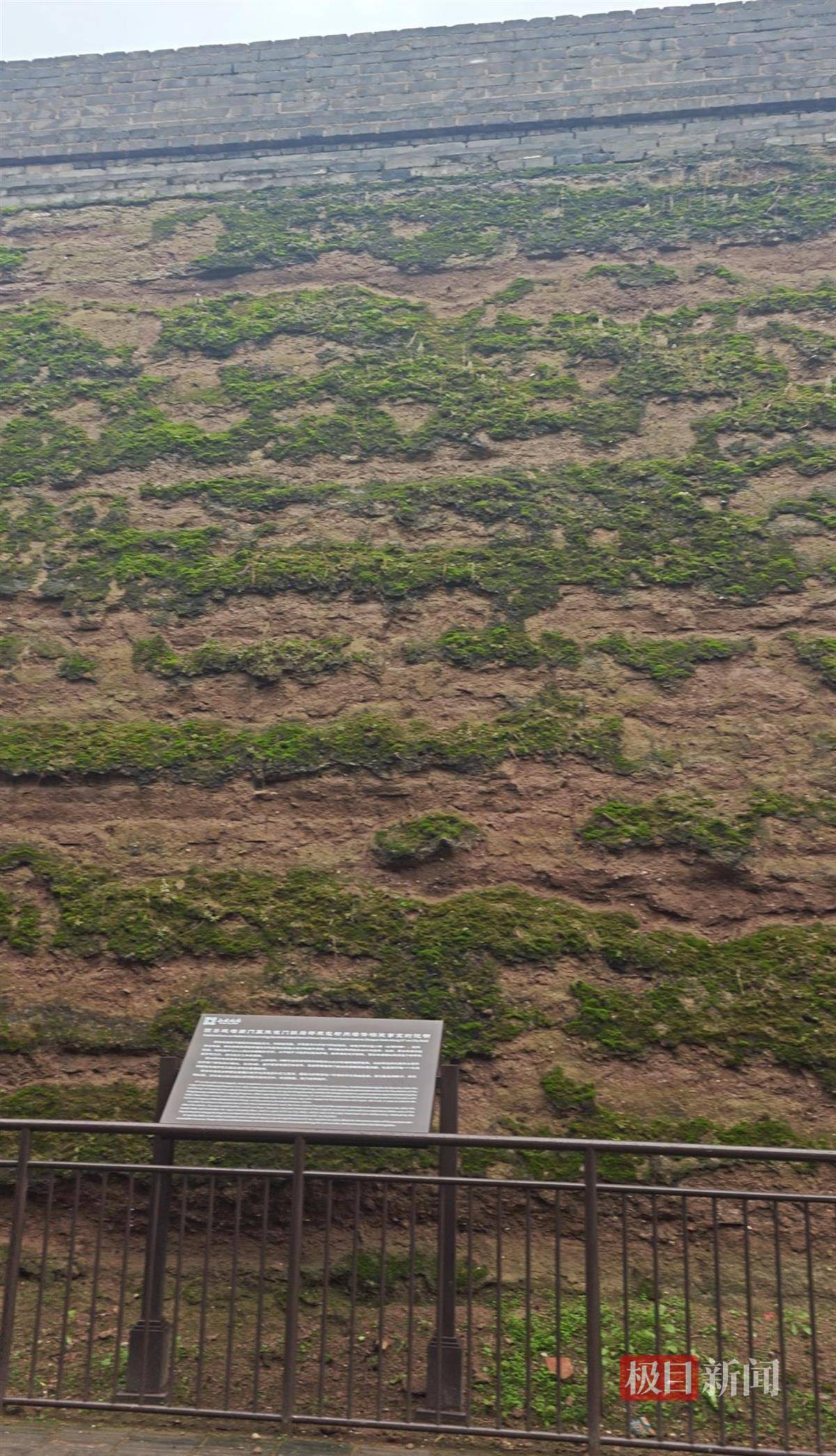 西安连续一个多月降雨遍地长蘑菇<strong></p>
<p>数字货币套利</strong>，大雁塔受潮，城墙布满青苔，气象局解释成因