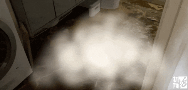 上海一业主推开家门瞬间懵了<strong></p>
<p>数字货币套利</strong>!精装房竟成“化粪池”……