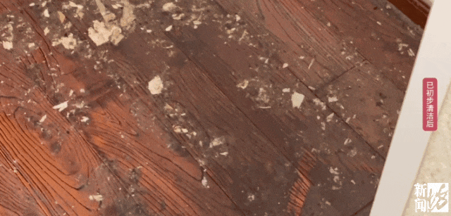 上海一业主推开家门瞬间懵了<strong></p>
<p>数字货币套利</strong>!精装房竟成“化粪池”……