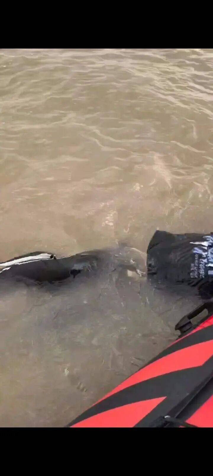 230斤重小伙酒后落水<strong></p>
<p>数字货币套利</strong>，漂浮7小时终获救……