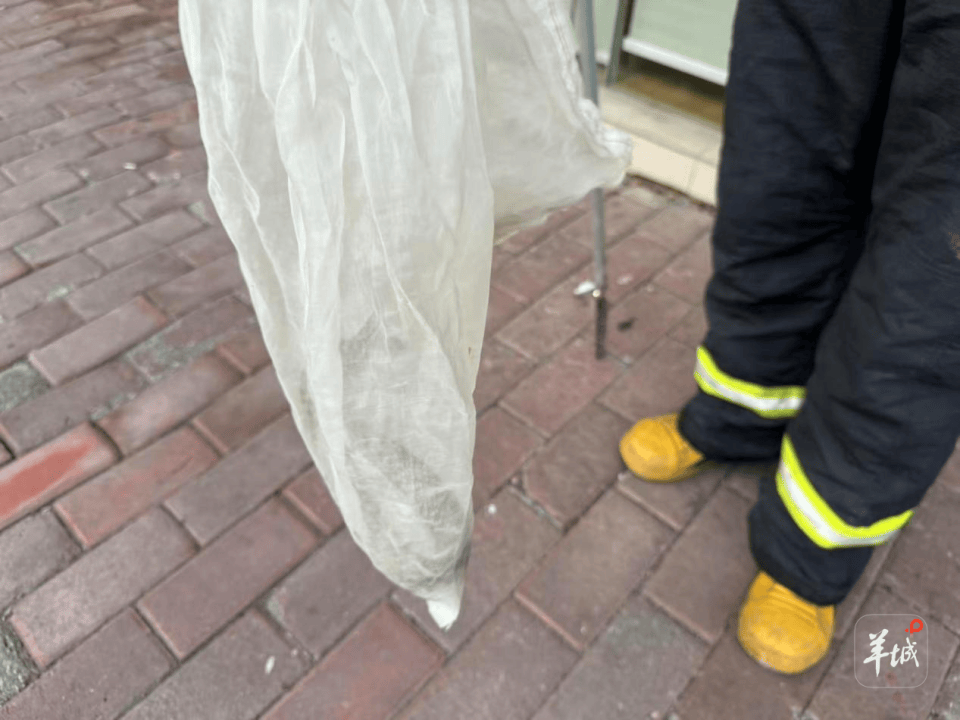 广州一小区蛇患频发：已抓超60条但未探测到蛇窝位置<strong></p>
<p>国际数字货币</strong>，多方介入