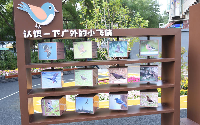 西城区广外街道：“断头路”变身口袋公园<strong></p>
<p>买数字货币</strong>，装满民生“微幸福”