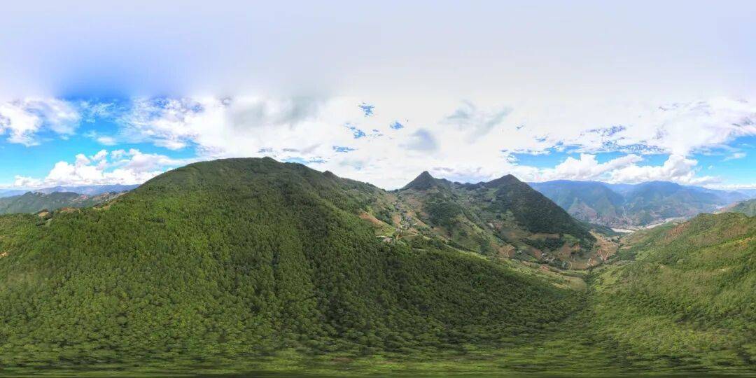 93岁老人进山失联<strong></p>
<p>买数字货币</strong>，两天后发现他倒挂在树杈上苦撑……