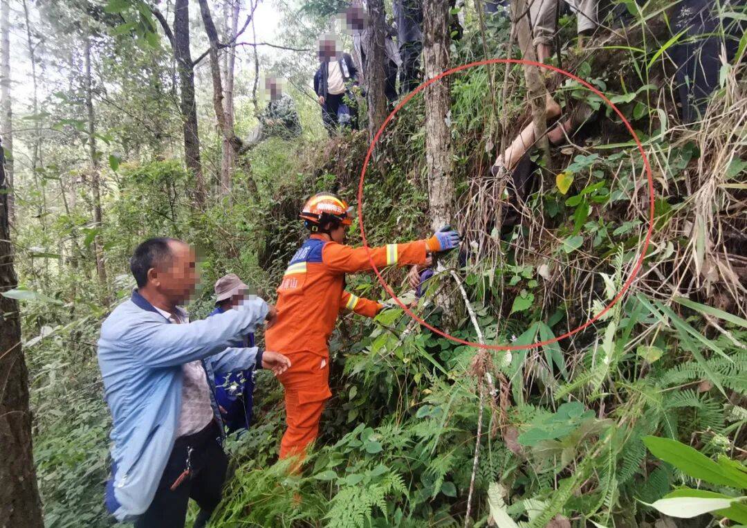93岁老人进山失联<strong></p>
<p>买数字货币</strong>，两天后发现他倒挂在树杈上苦撑……