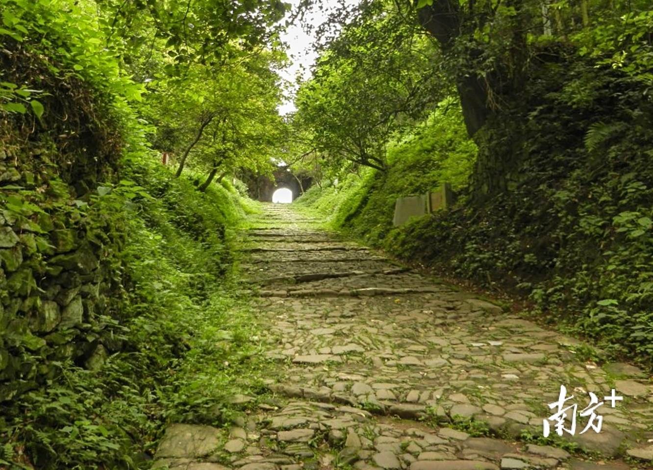 张九龄之妻墓现身西安<strong></p>
<p>买数字货币</strong>，“岭南第一人”在岭南还留下这些踪迹