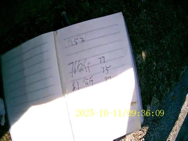 100斤玉米上秤秒变60斤?贵州一村民遭“鬼秤”骗粮!民警出手<strong></p>
<p>如何交易数字货币</strong>,5人被拘