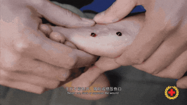 女子半夜上厕所<strong></p>
<p>中国的数字货币</strong>,马桶里突然窜出一条蛇!