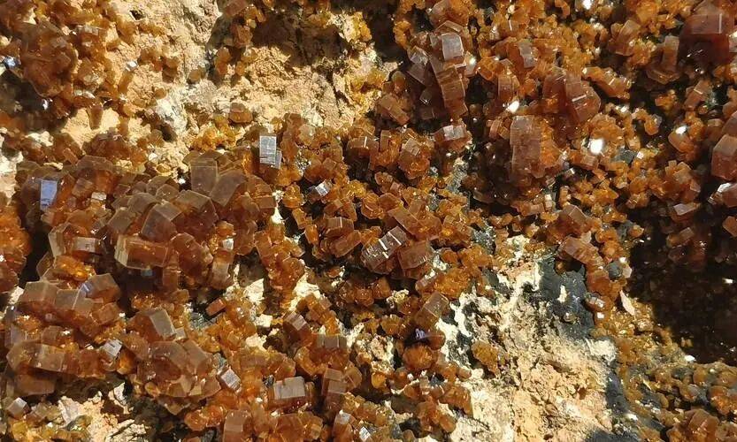 王牌对王牌！中美措施同一天生效<strong></p>
<p>数字货币机</strong>，美盟友密集访华，释放什么信号？