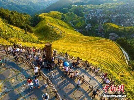 金秋<strong></p>
<p>数字货币机</strong>,广西的梯田一点不输!