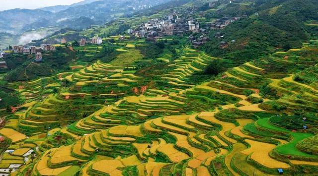 金秋<strong></p>
<p>数字货币机</strong>,广西的梯田一点不输!