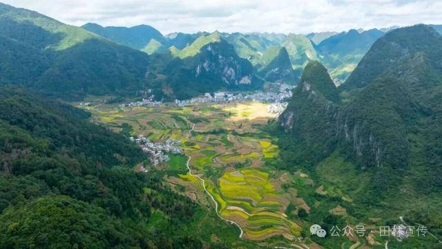 金秋<strong></p>
<p>数字货币机</strong>,广西的梯田一点不输!