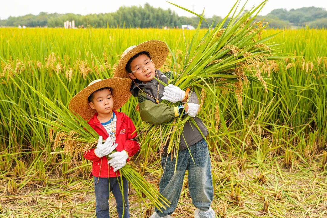 良渚遇“稻”<strong></p>
<p>数字货币机</strong>你 ｜ 秋季活动正当时