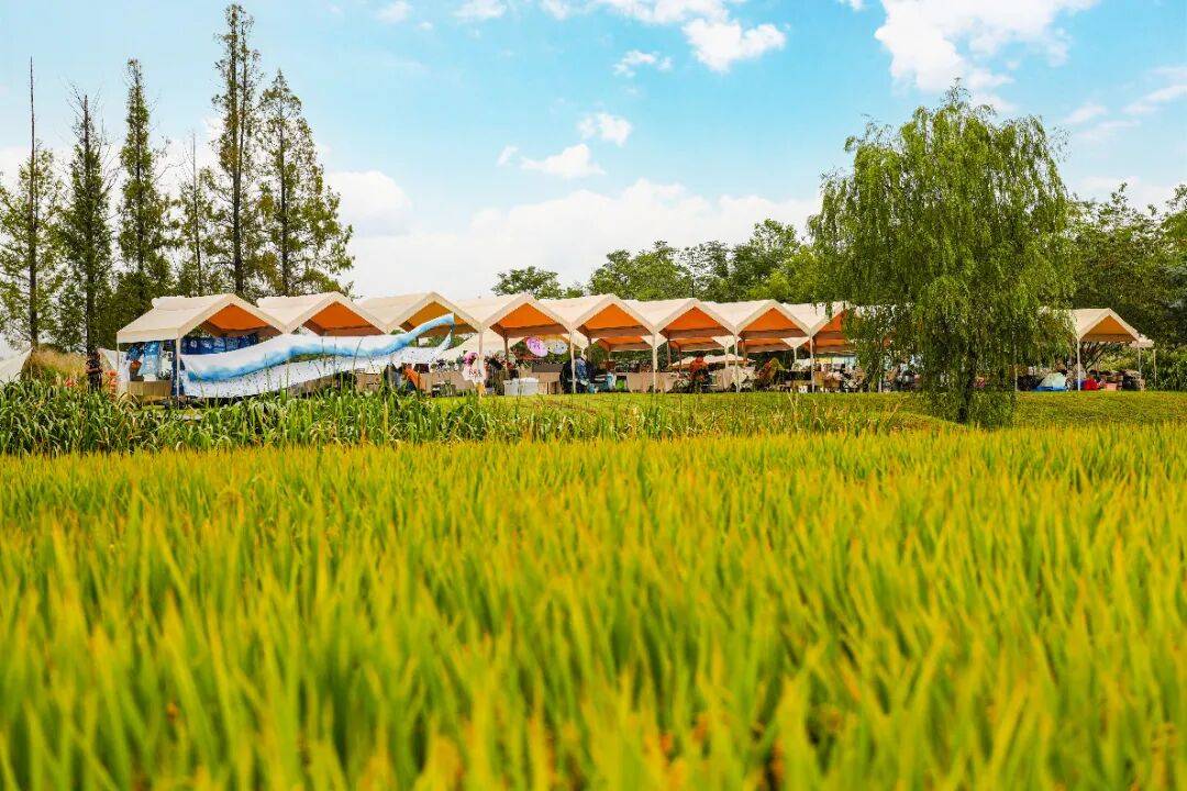 良渚遇“稻”<strong></p>
<p>数字货币机</strong>你 ｜ 秋季活动正当时