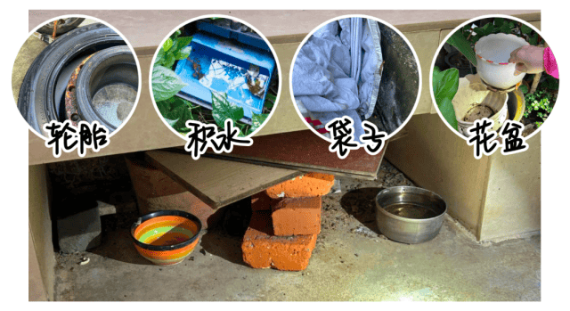 涉学校、公园、城中村<strong></p>
<p>数字货币机</strong>!深圳官方最新公布“黑窝点”