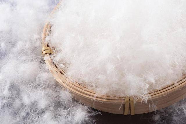 冷空气来袭<strong></p>
<p>数字货币机</strong>,如何正确挑选羽绒服?