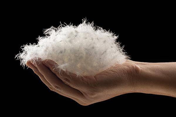 冷空气来袭<strong></p>
<p>数字货币机</strong>,如何正确挑选羽绒服?