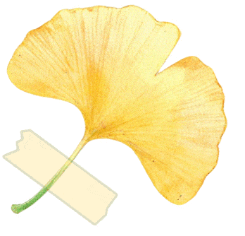 第三届环渤海检验医学学术会议暨大连市医师协会检验医师分会2025年度会议成功举行