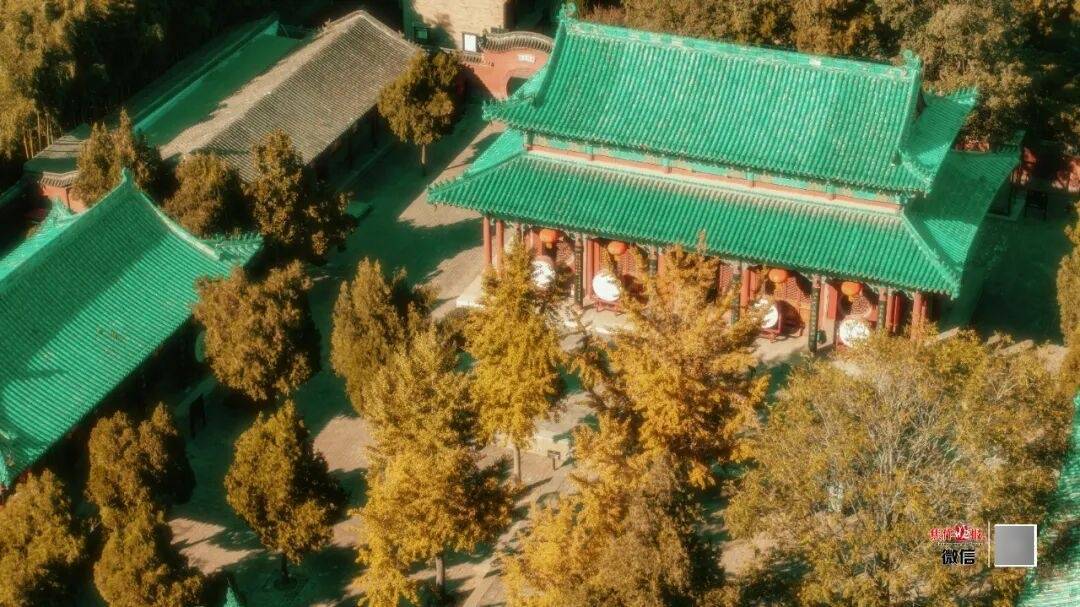 银杏金黄<strong></p>
<p>数字货币公司</strong>！铺满焦作的秋天！