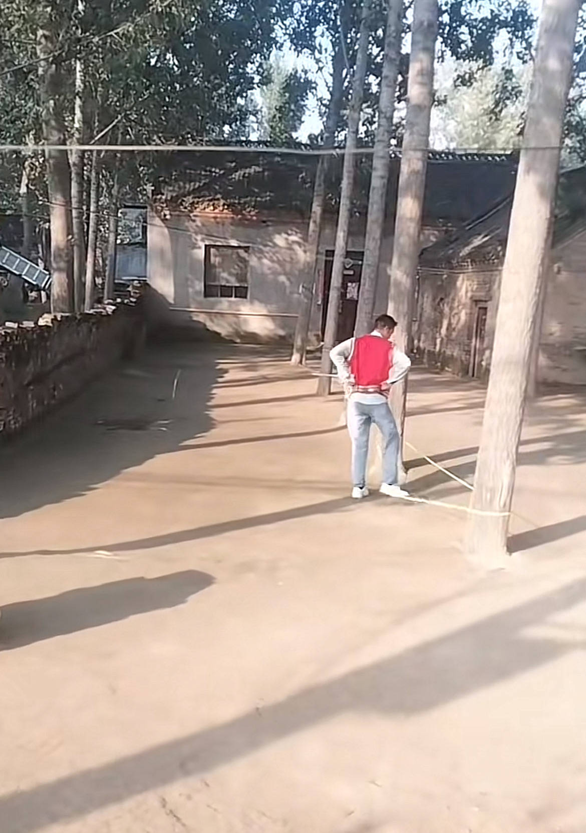 河南一大爷的院子因干净成网红打卡地<strong></p>
<p>数字货币分析</strong>，网友：像极了小时候家的样子，想拖鞋光脚丫子走