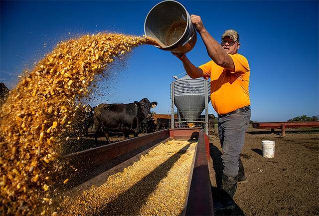 又输给了李成钢<strong></p>
<p>数字货币软件</strong>，贝森特承诺：美方不再考虑对华加征100%关税