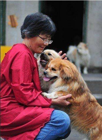 合肥卖房救助流浪狗的魏阿姨离世<strong></p>
<p>数字货币市值</strong>，病中仍然惦记着基地的600只流浪狗，工人：不敢相信世上还有这样执着的人