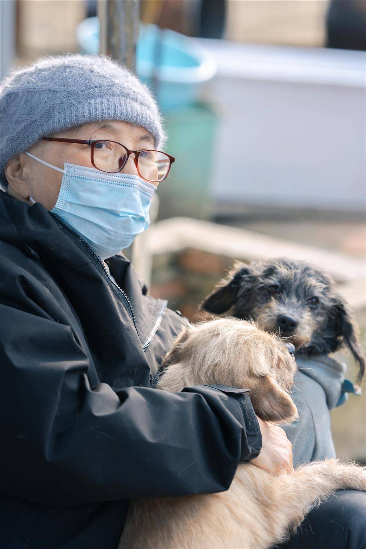 合肥卖房救助流浪狗的魏阿姨离世<strong></p>
<p>数字货币市值</strong>，病中仍然惦记着基地的600只流浪狗，工人：不敢相信世上还有这样执着的人