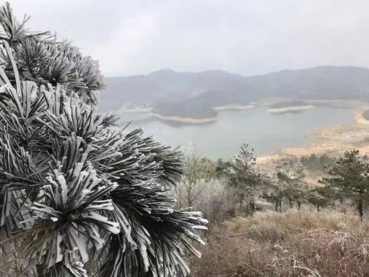 禁止任何形式穿越<strong></p>
<p>货币数字代码</strong>！杭州一地发布最严禁令