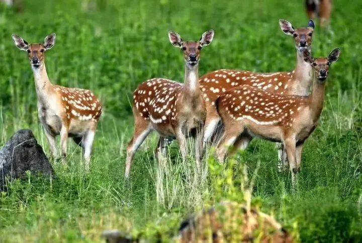 禁止任何形式穿越<strong></p>
<p>货币数字代码</strong>！杭州一地发布最严禁令