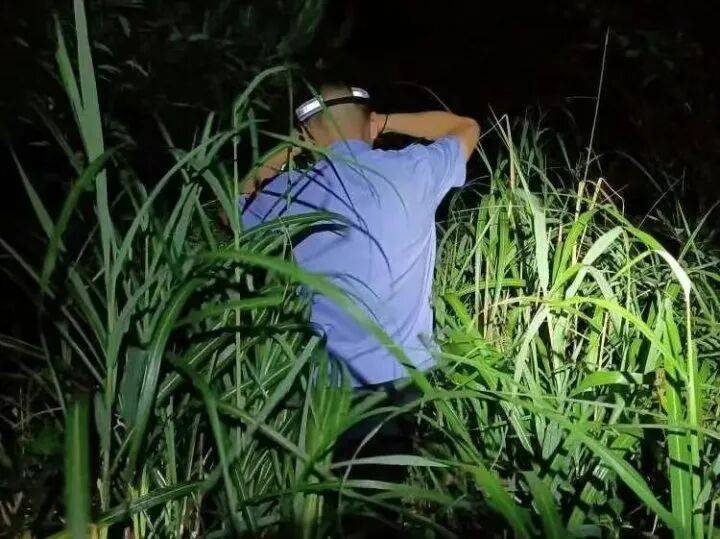 禁止任何形式穿越<strong></p>
<p>货币数字代码</strong>！杭州一地发布最严禁令