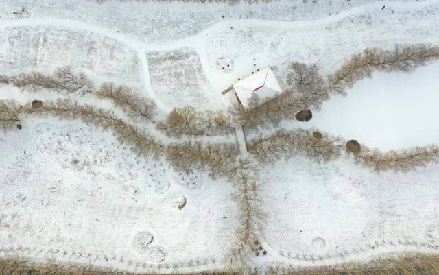 百年难遇“早立冬”来了<strong></p>
<p>数字货币群</strong>!有啥讲究?早看早准备!