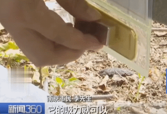 不是慢镜头!福建舰电磁弹射速度那么快<strong></p>
<p>数字货币新闻</strong>,是怎么瞬间刹车的?