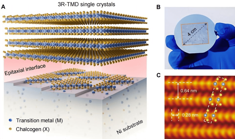 33岁刘灿<strong></p>
<p>数字货币新闻</strong>,破格晋升中国人民大学教授