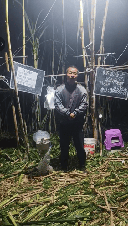 四川眉山自助“偷甘蔗”老板称有人只“偷”不给钱<strong></p>
<p>数字货币交易app</strong>，当地文旅：已安排人员现场协调