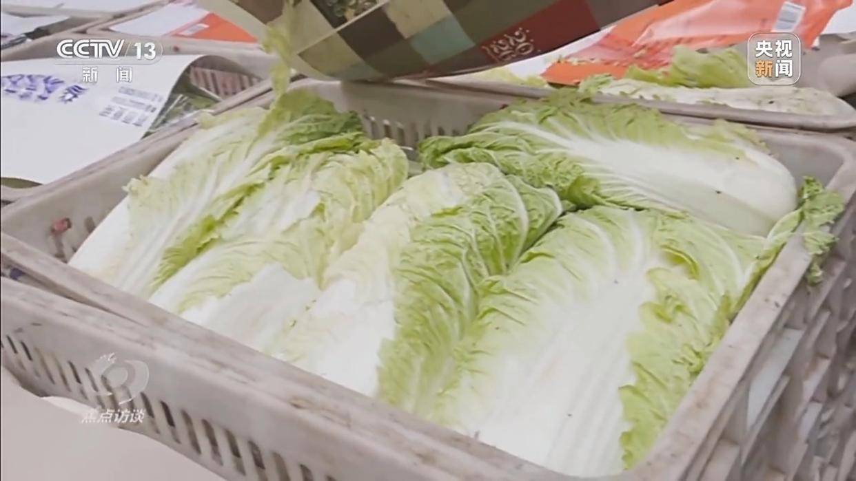 单棵售价超百元<strong></p>
<p>数字货币怎么交易</strong>,起底“套牌白菜”背后的销售套路