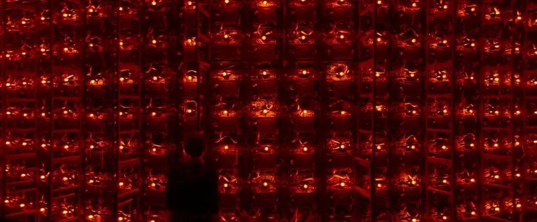 易烊千玺力撑票房但难抵上映口碑两极…《狂野时代》最大的“罪过”<strong></p>
<p>数字货币怎么交易</strong>,是难懂吗?