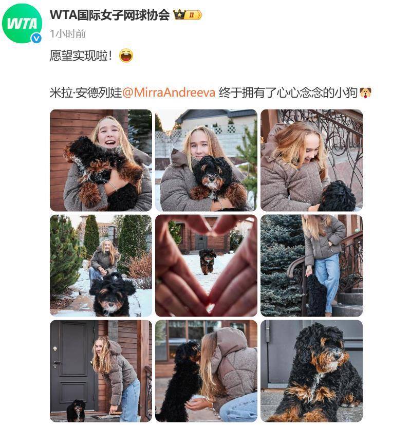 “小米辣”终于有了自己的小狗!曾说养狗是赢球的动力<strong></p>
<p>数字货币怎么交易</strong>,WTA官方发“贺信”:愿望实现啦!