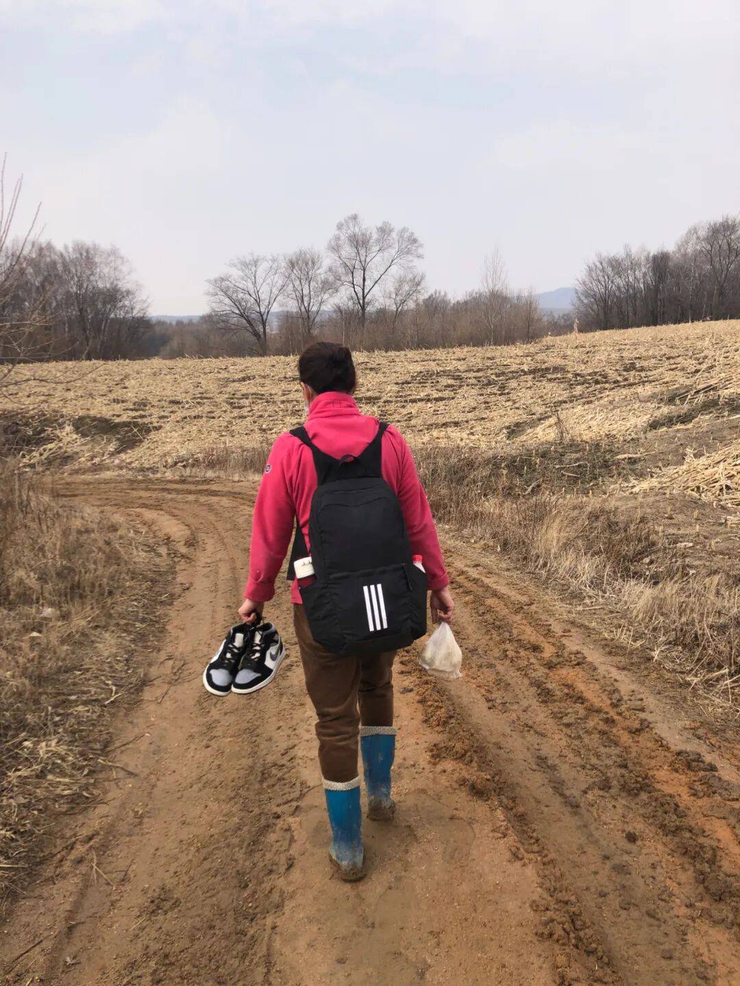 20年前落选的“东北超女”<strong></p>
<p>数字货币概念股</strong>，用黑历史段子杀回来了