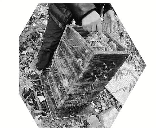 两派蜜蜂打群架<strong></p>
<p>数字货币赚钱</strong>,伤亡惨重 民警:别打了,赔钱赔蜂蜜