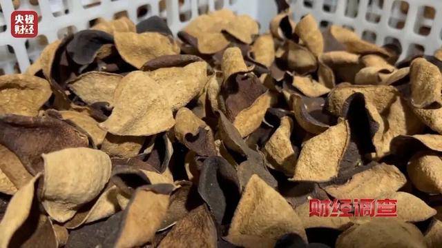 30天速成陈皮<strong></p>
<p>炒数字货币</strong>,成本仅70元,利润超成本10倍以上!央视起底陈皮跨省造假产业链