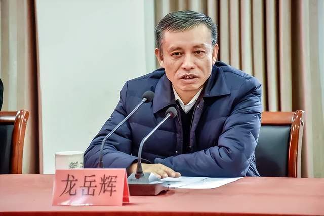 主动投案<strong></p>
<p>炒数字货币</strong>，国家税务总局浙江省税务局原党委书记、副局长龙岳辉接受审查调查