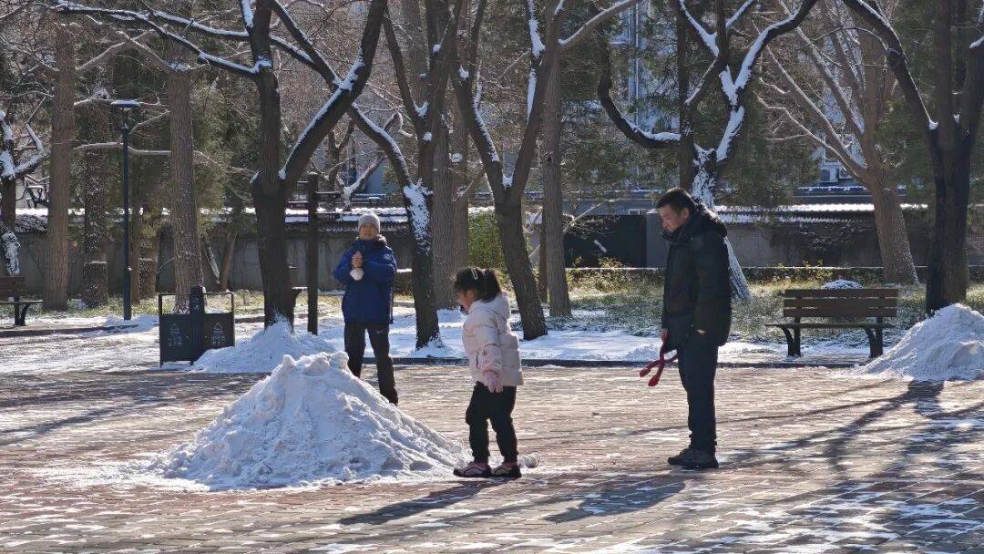 北京绿化带里用了二十年的板子<strong></p>
<p>炒数字货币</strong>，今冬“下岗”了——