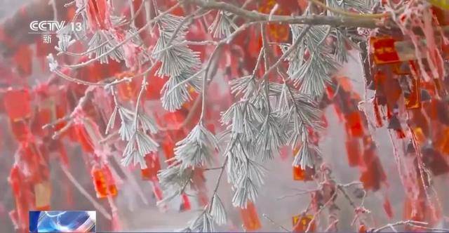 我国已经进入拉尼娜状态<strong></p>
<p>炒数字货币</strong>，专家：可能出现冬春连旱